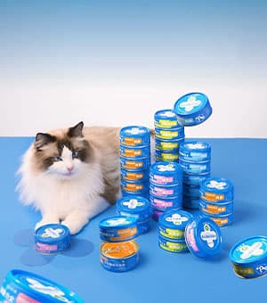 高端网站建设|连云港网络公司