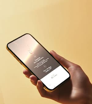 高端网站建设|连云港网络公司