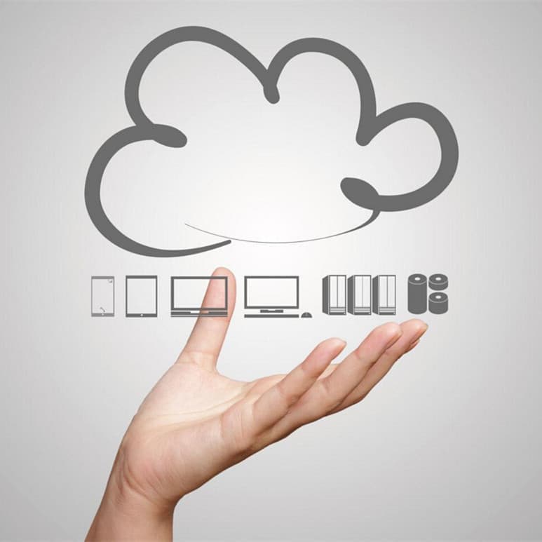 连云港网络公司|高端网站建设与数字营销服务商