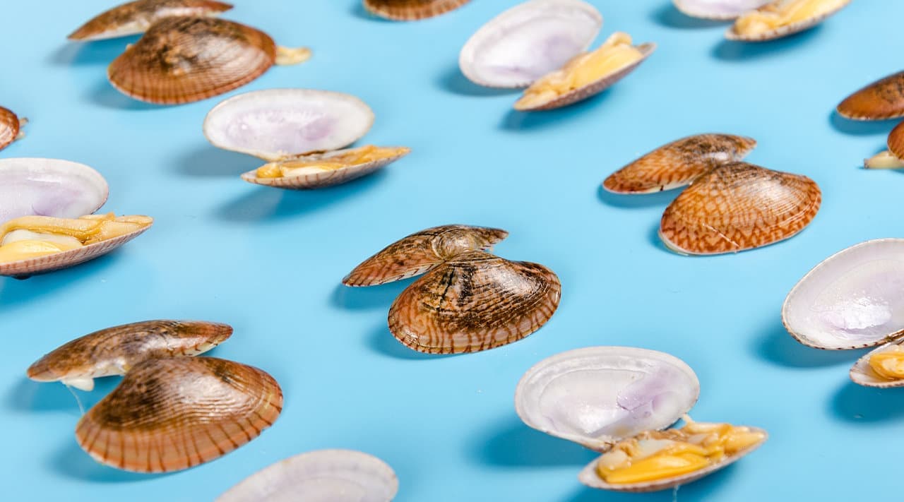 连云港商业摄影＆Tvc宣传片