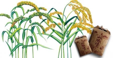 连云港网络公司|高端网站建设与数字营销服务商