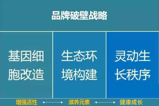 高端网站建设|连云港网络公司
