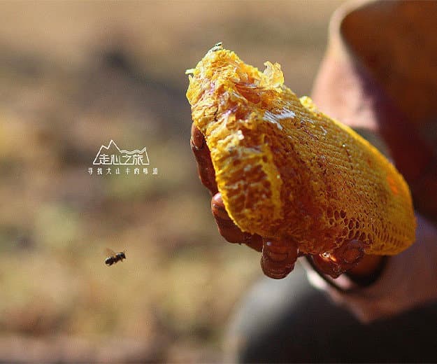 走心之旅农产品