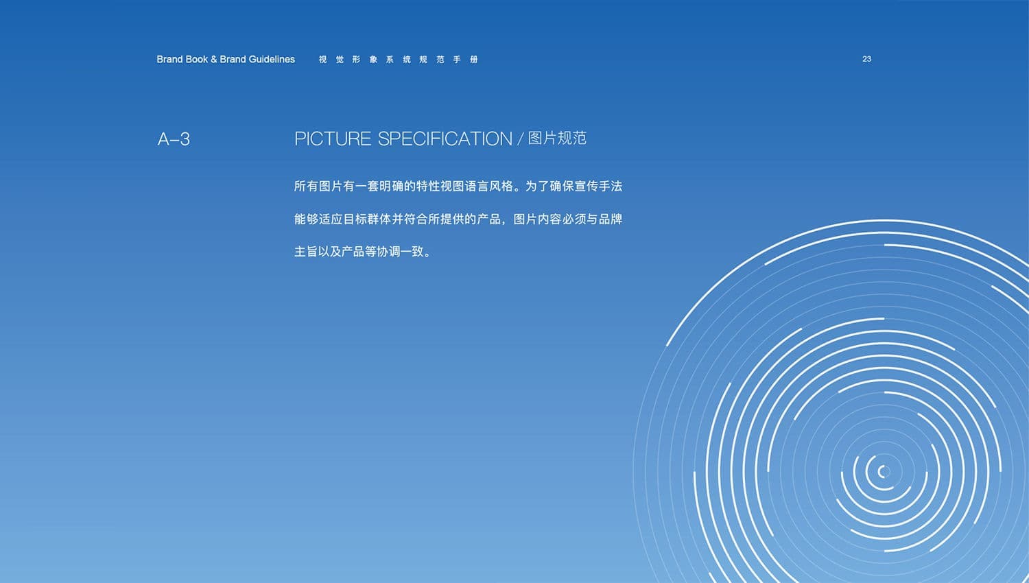 连云港战略品牌更新＆升级