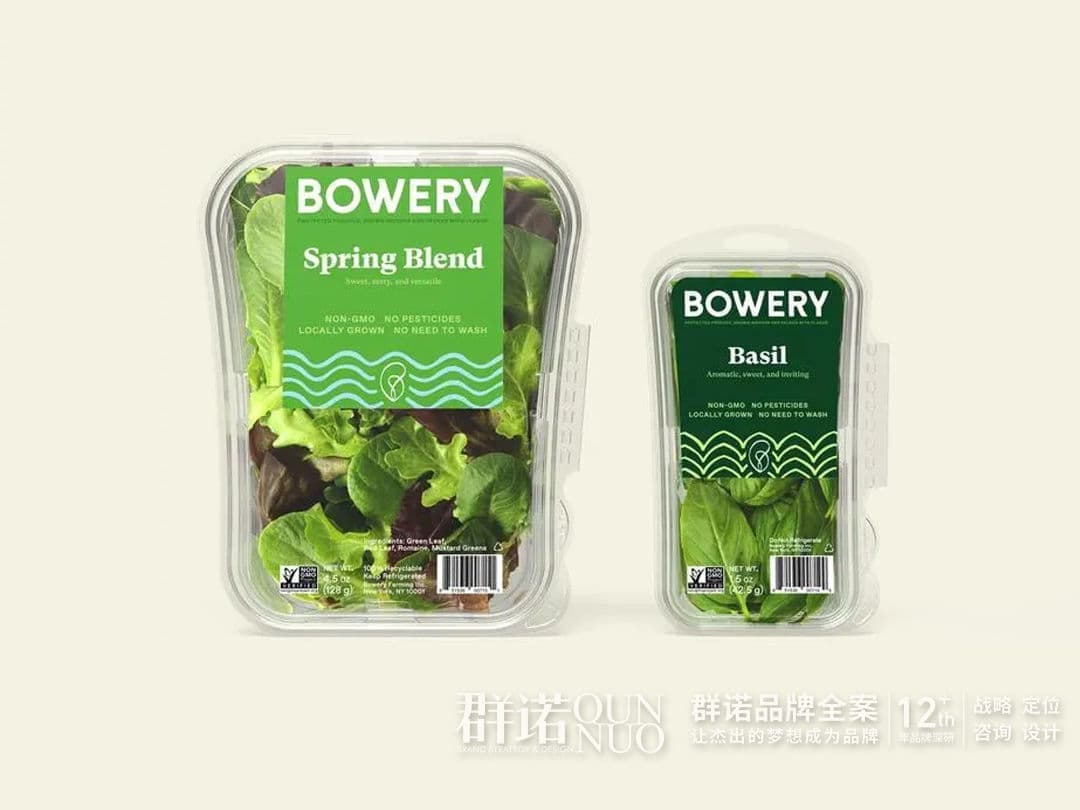 连云港网络公司|高端网站建设与数字营销服务商