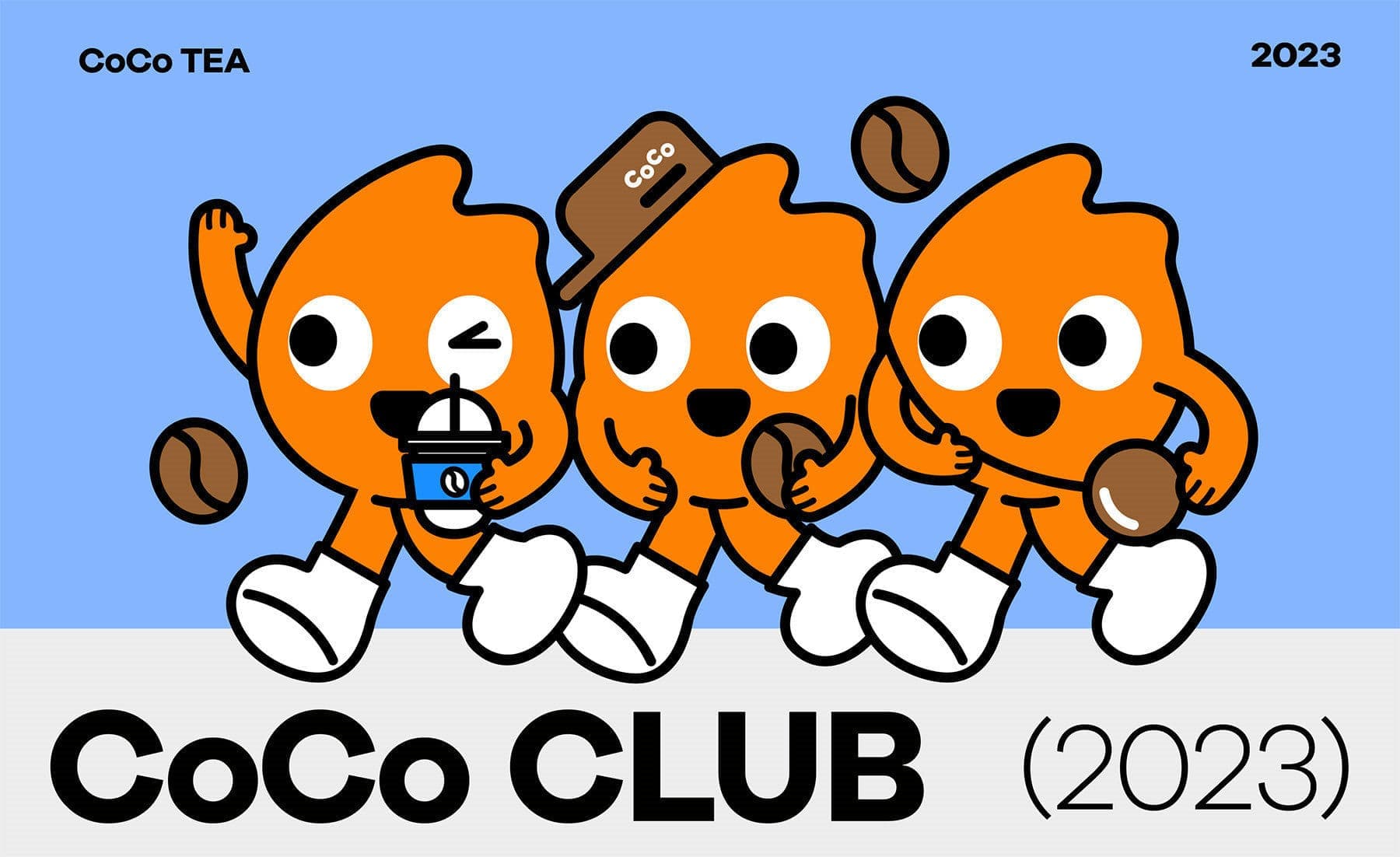 高端网站建设|连云港网络公司