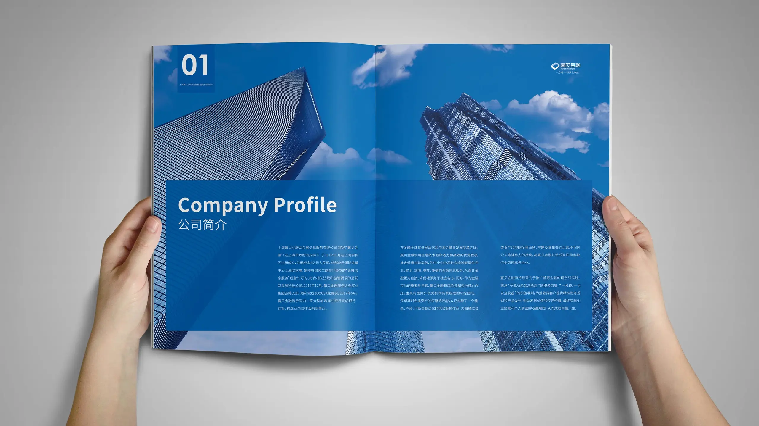 连云港企业画册设计